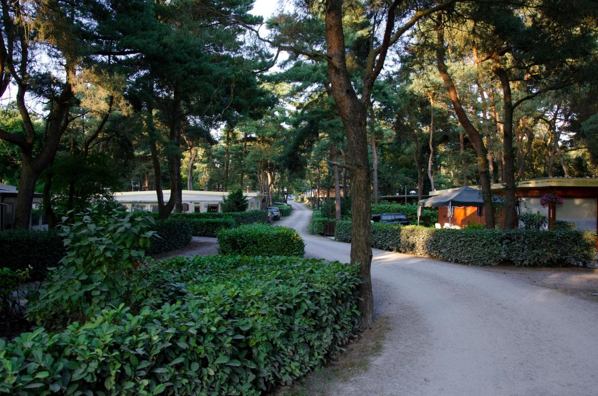 Safaritent At Camping Gt Keiheuvel Balen 외부 사진
